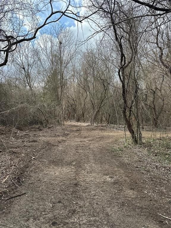 5.35 acres in Ellis County - photo 23