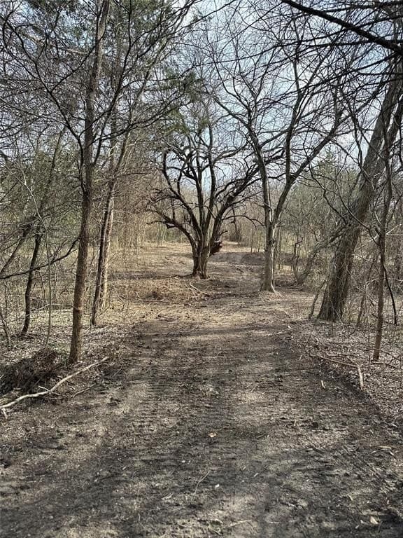 5.35 acres in Ellis County - photo 5