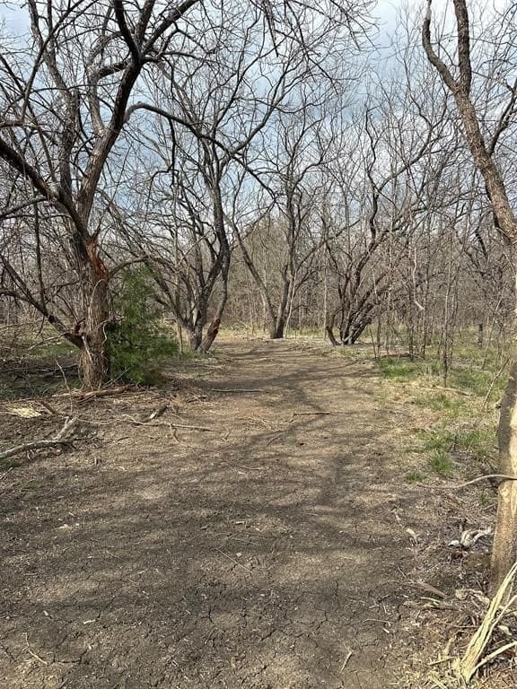 5.35 acres in Ellis County - photo 16