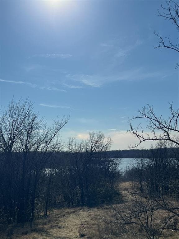 0.31 acres in Denton County - photo 10