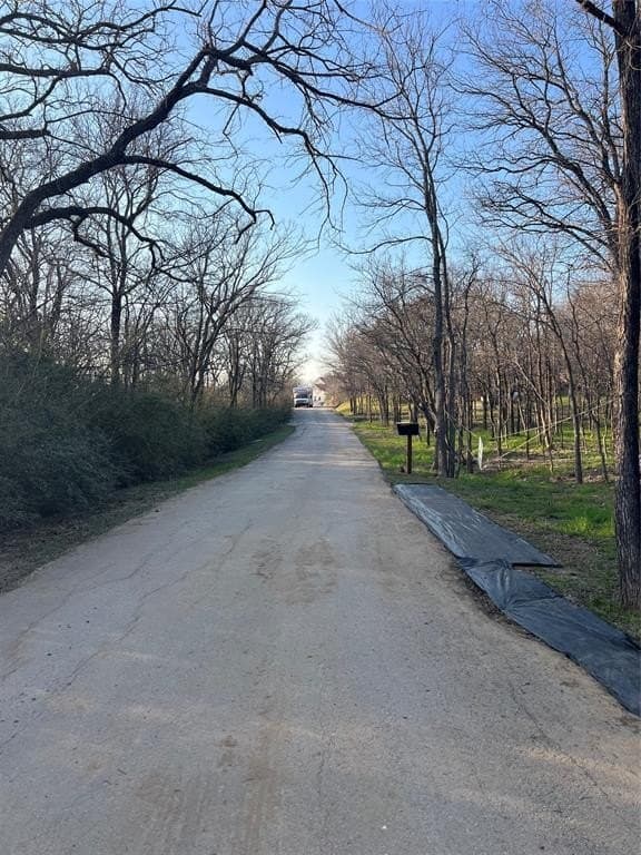 0.31 acres in Denton County - photo 5