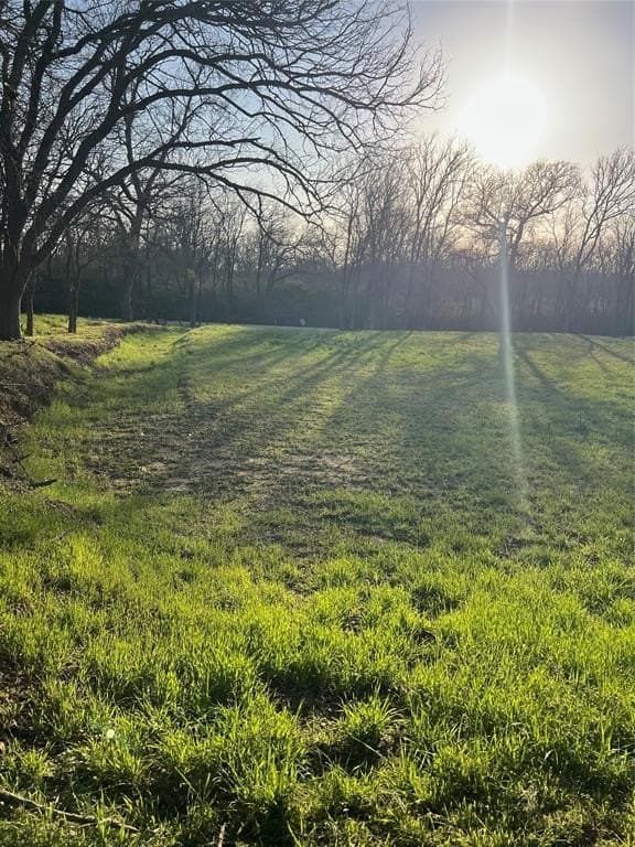 0.31 acres in Denton County - photo 16