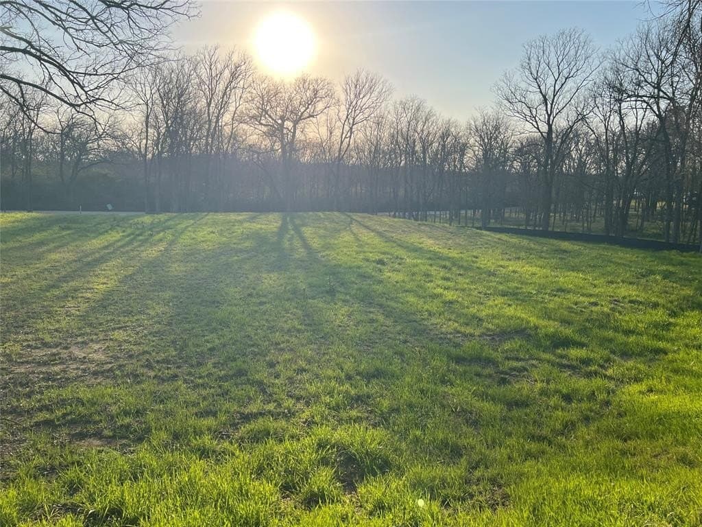 0.31 acres in Denton County - photo 2