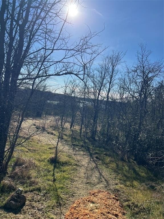0.31 acres in Denton County - photo 9