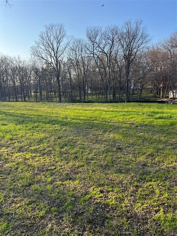 0.31 acres in Denton County - photo 3
