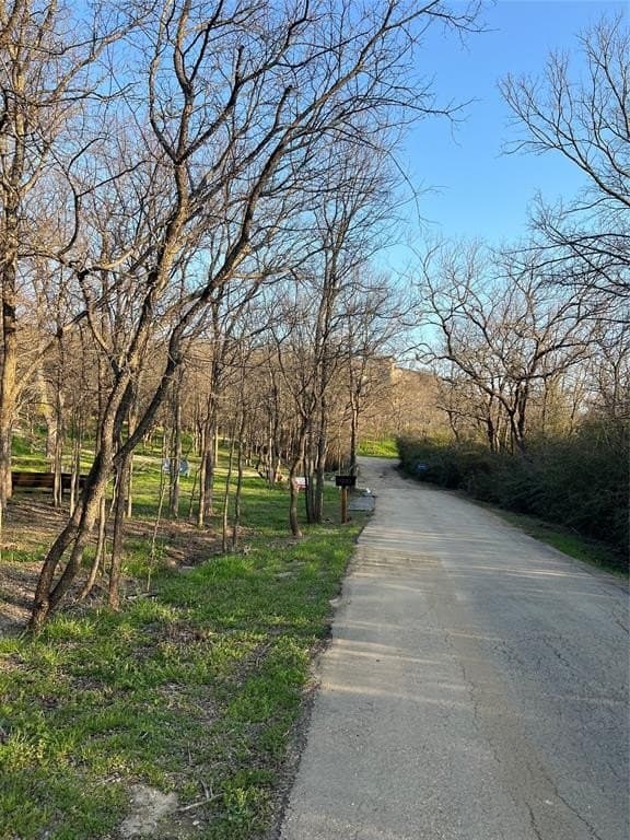 0.31 acres in Denton County - photo 6