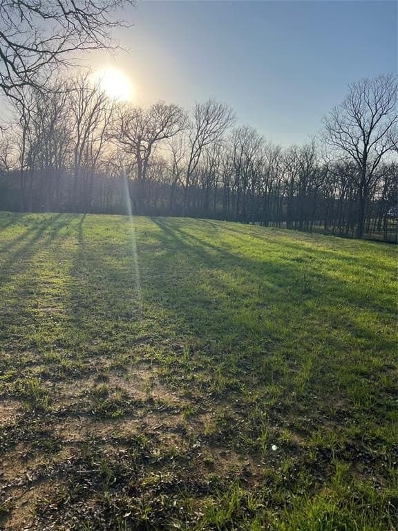 0.31 acres in Denton County - photo 4