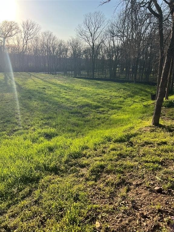 0.31 acres in Denton County - photo 17