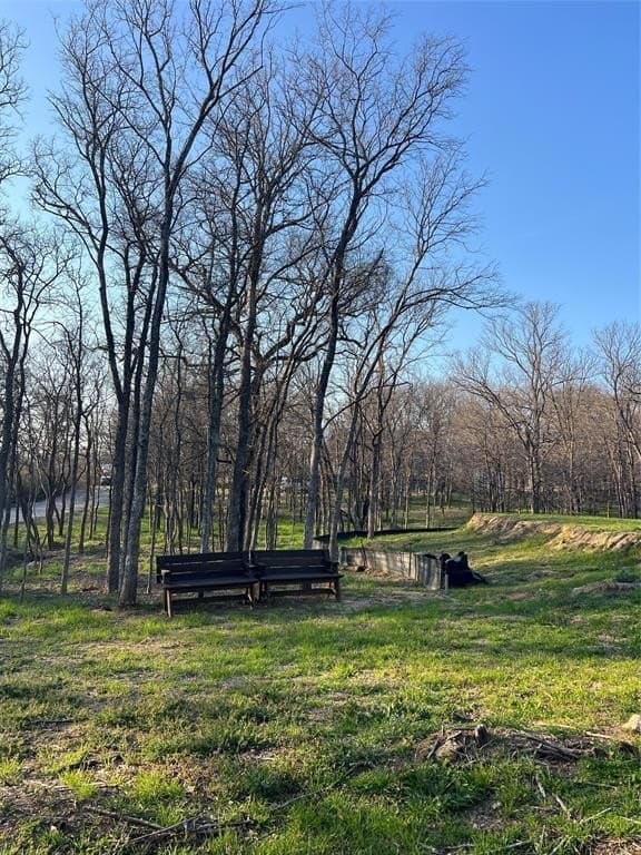 0.31 acres in Denton County - photo 19