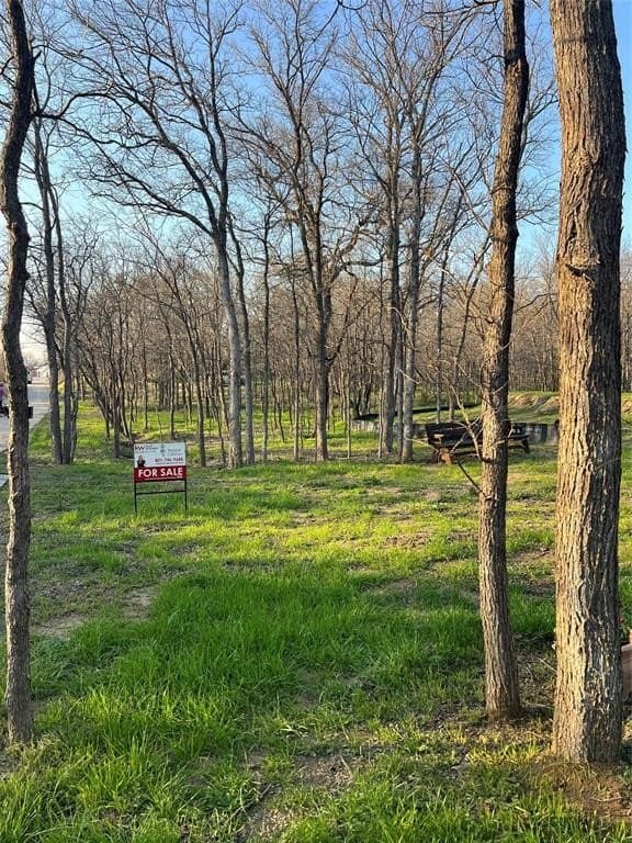 0.31 acres in Denton County - photo 21