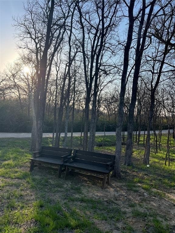 0.31 acres in Denton County - photo 8