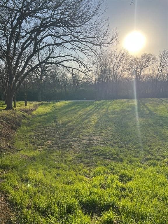 0.31 acres in Denton County - photo 18