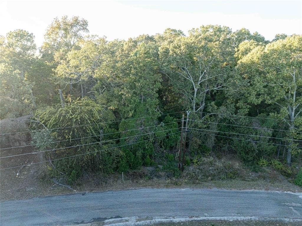 0.21 acres in Van Zandt County - photo 3