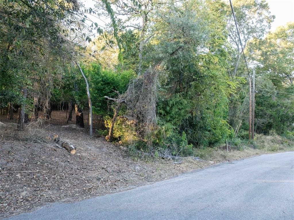 0.21 acres in Van Zandt County - photo 4