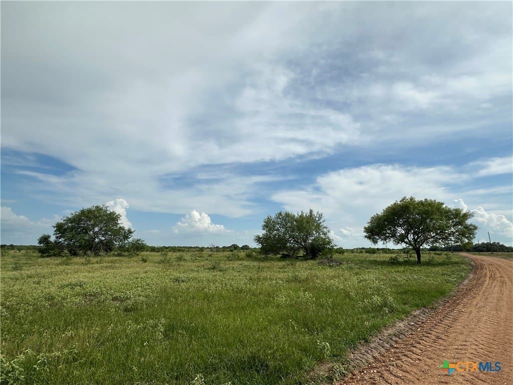 20.7 acres in Victoria County - photo 5