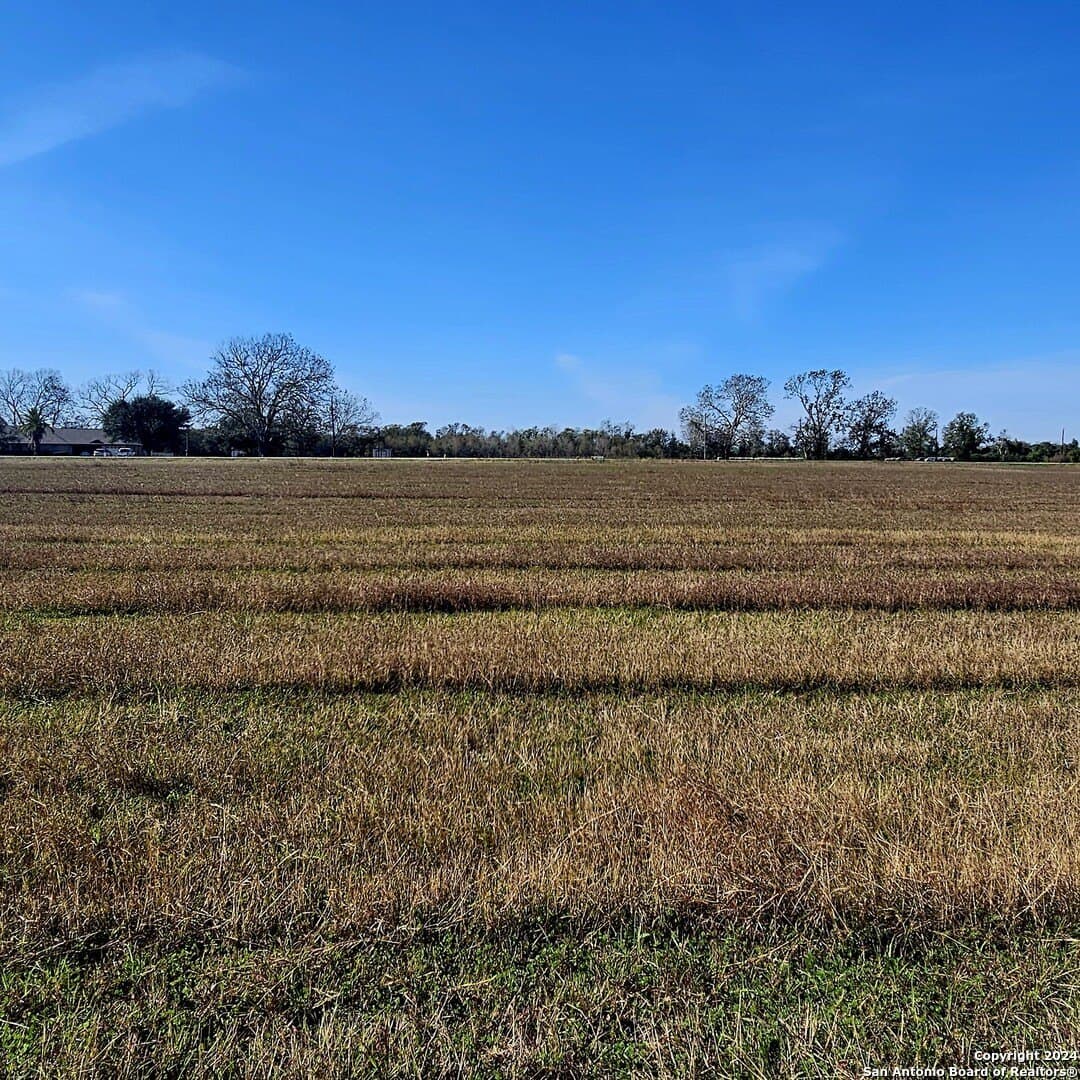 22 acres in Wharton County - photo 9