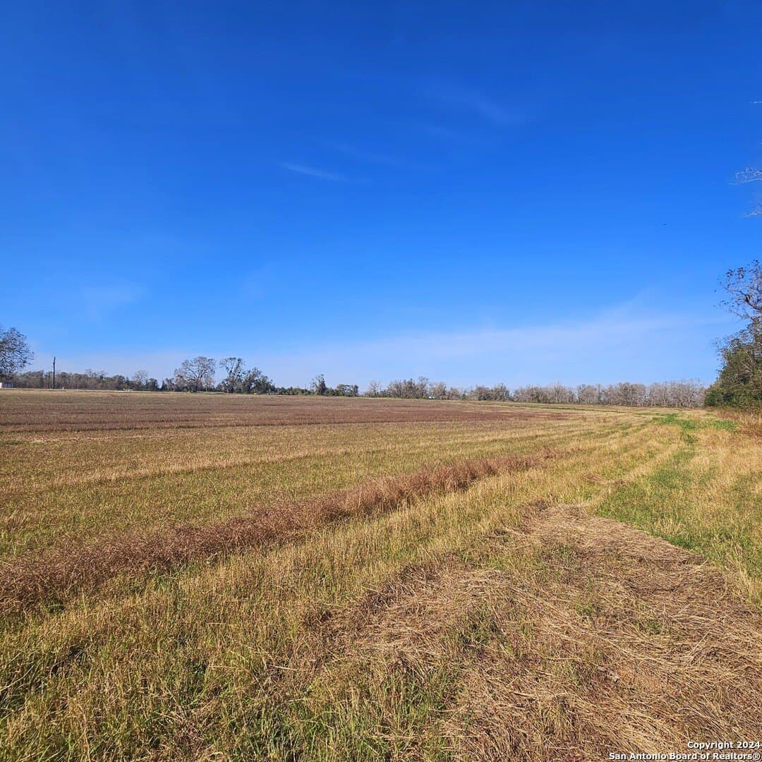 22 acres in Wharton County - photo 10