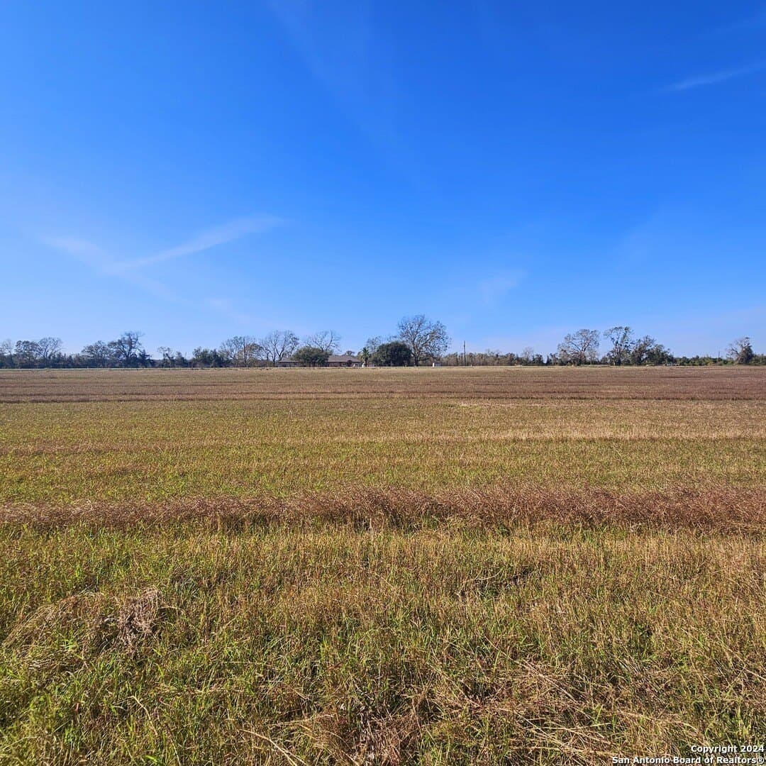 22 acres in Wharton County - photo 8