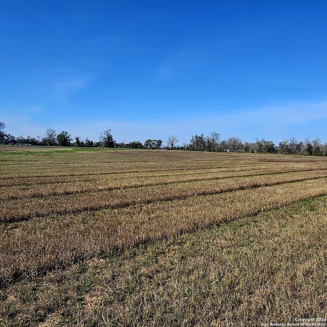 22 acres in Wharton County - photo 3