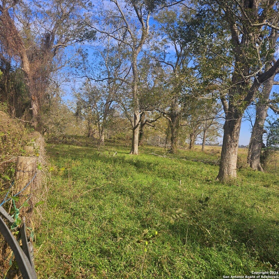 22 acres in Wharton County - photo 7