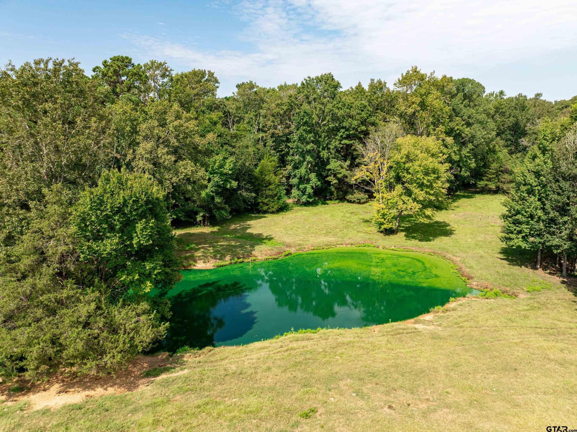 51.29 acres in Anderson County - photo 42