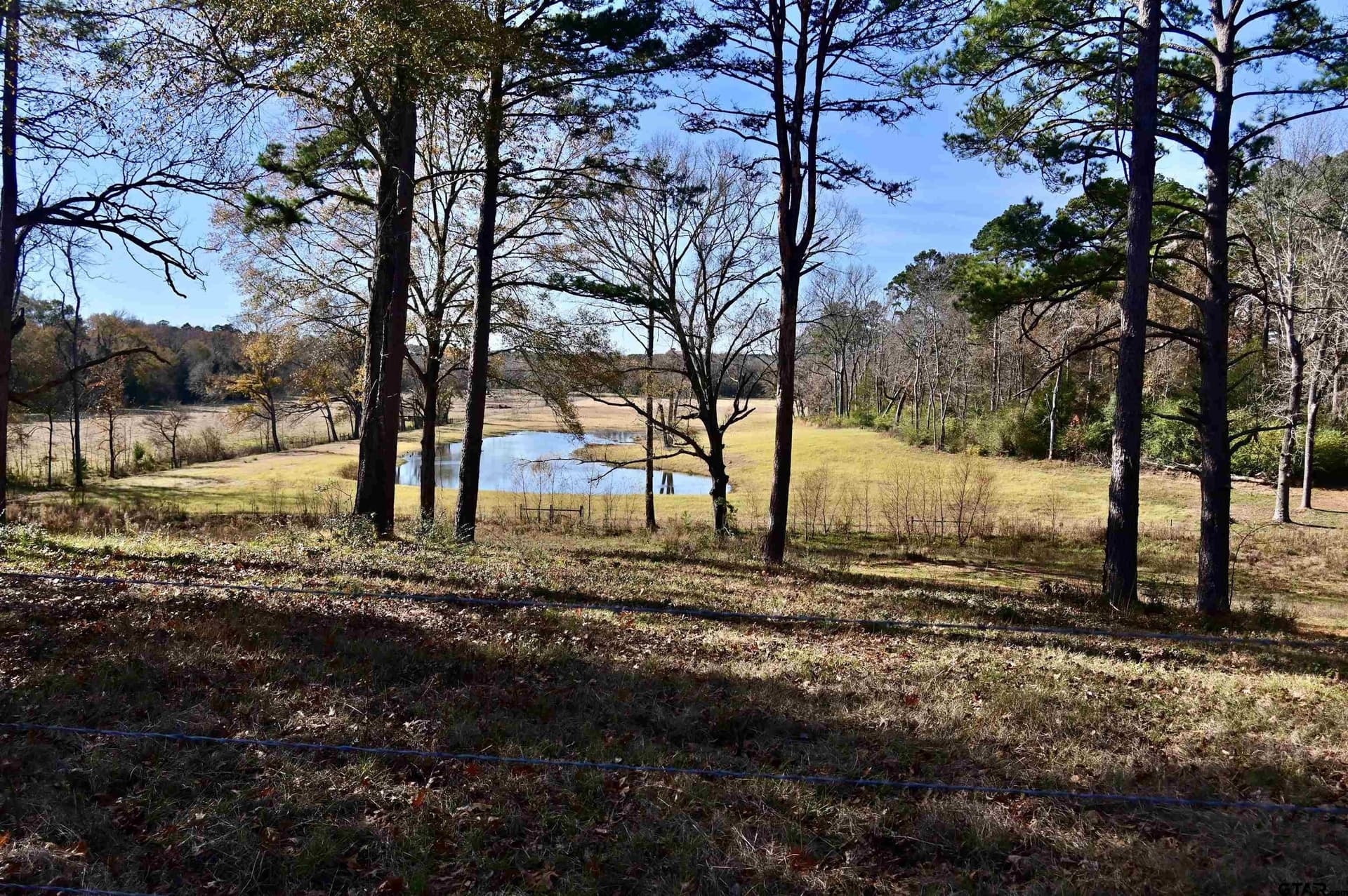 51.29 acres in Anderson County - photo 34