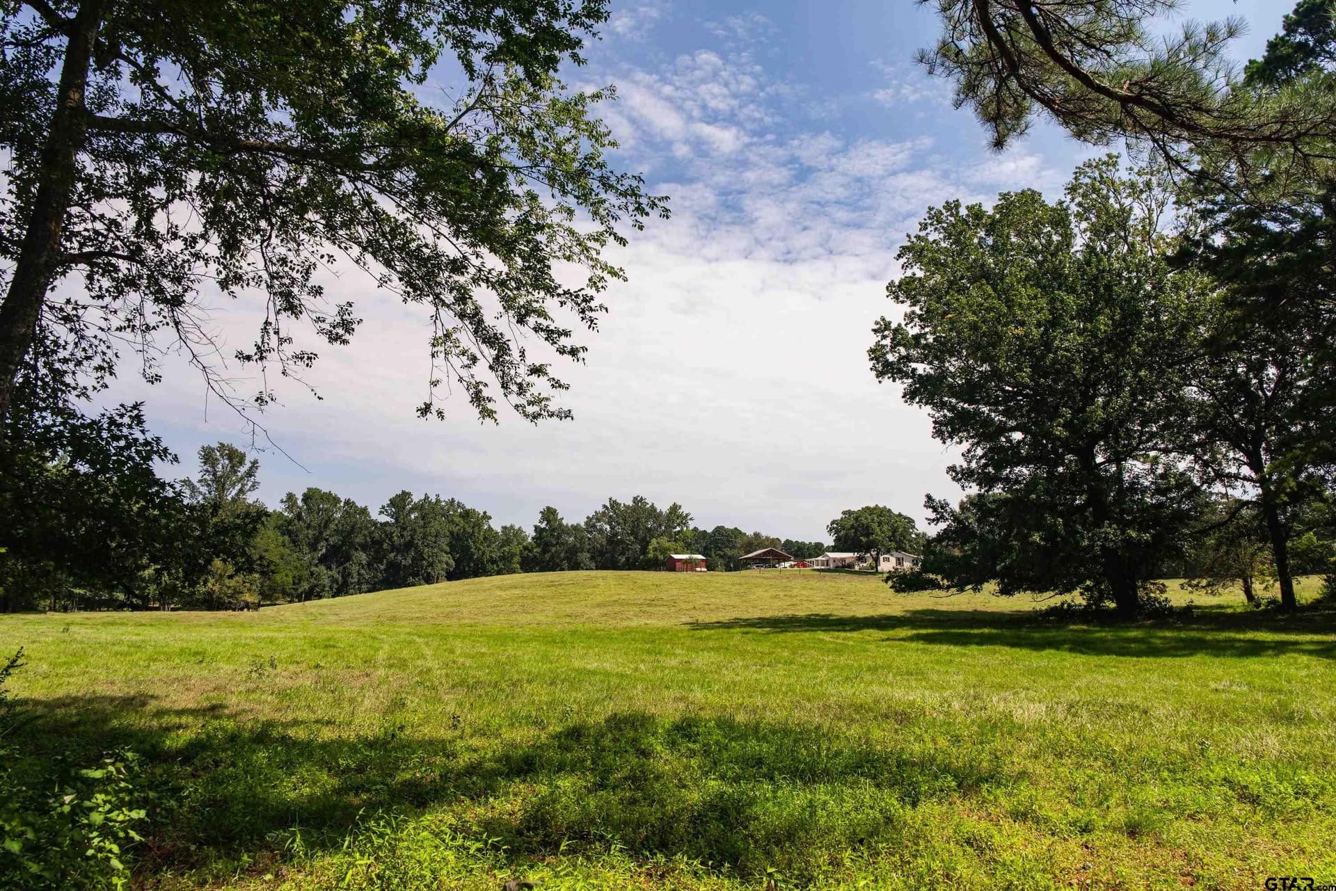 51.29 acres in Anderson County - photo 6