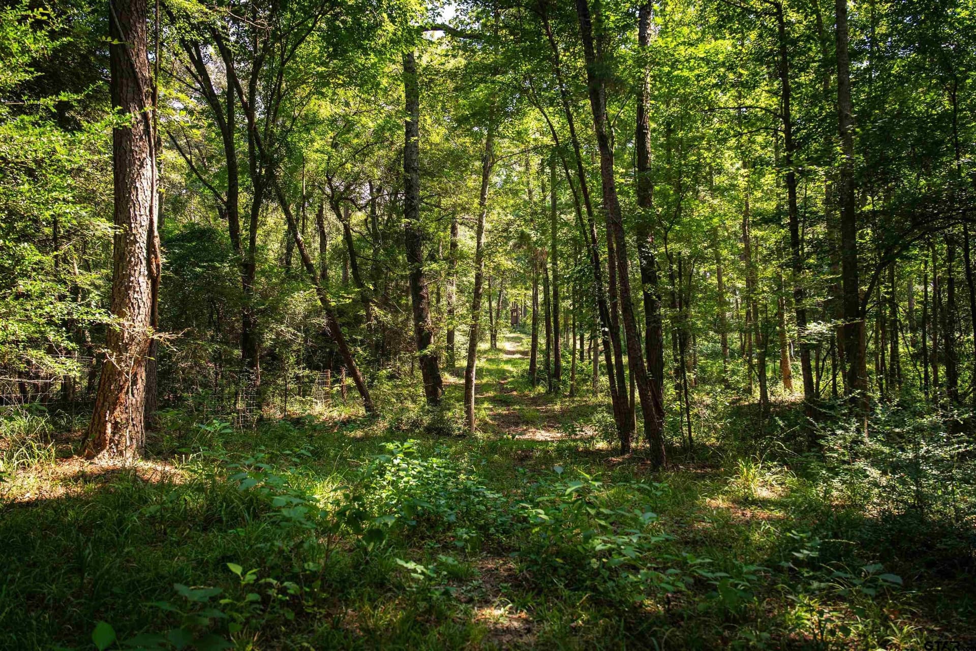 51.29 acres in Anderson County - photo 38