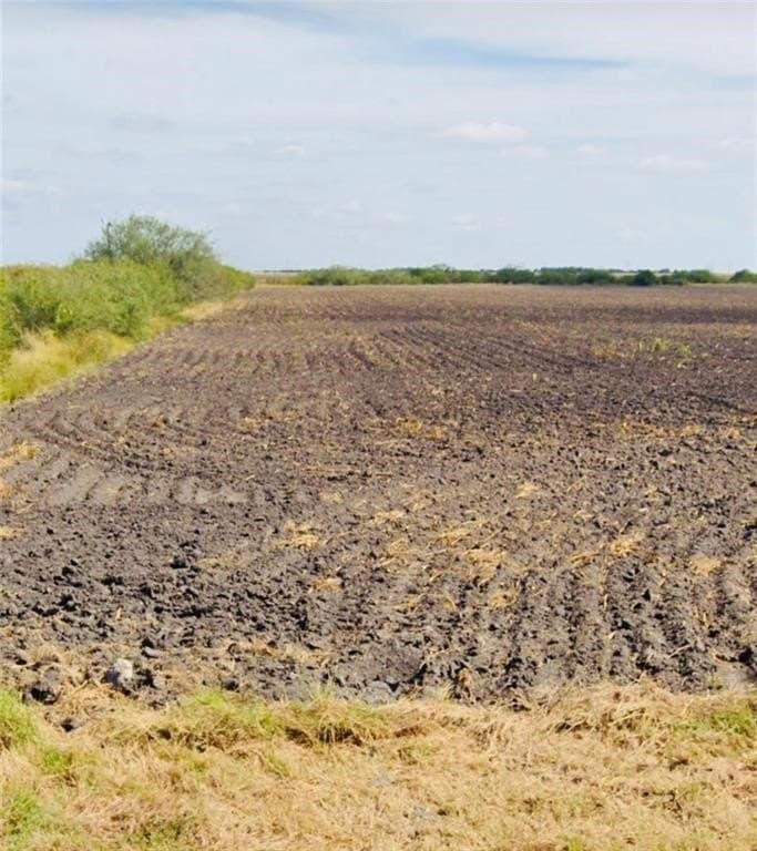 20.17 acres in Nueces County - photo 3