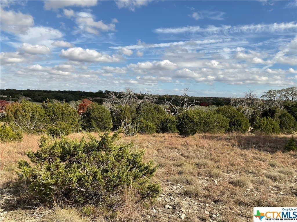 5.82 acres in Texas County - photo 15