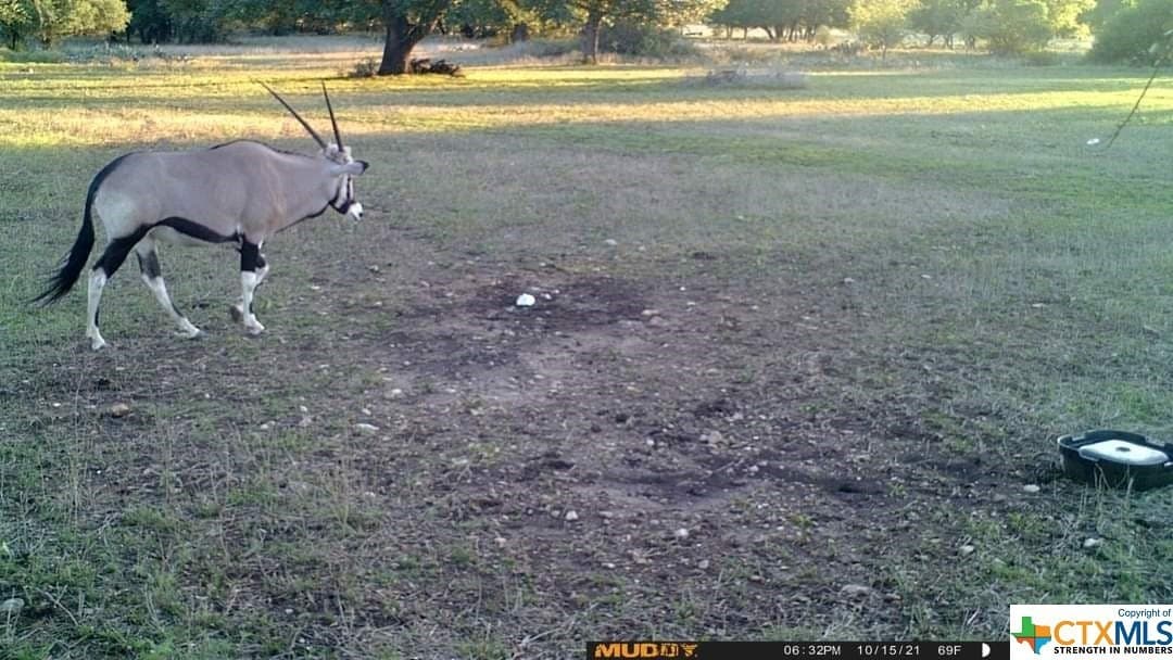 5.82 acres in Texas County - photo 16