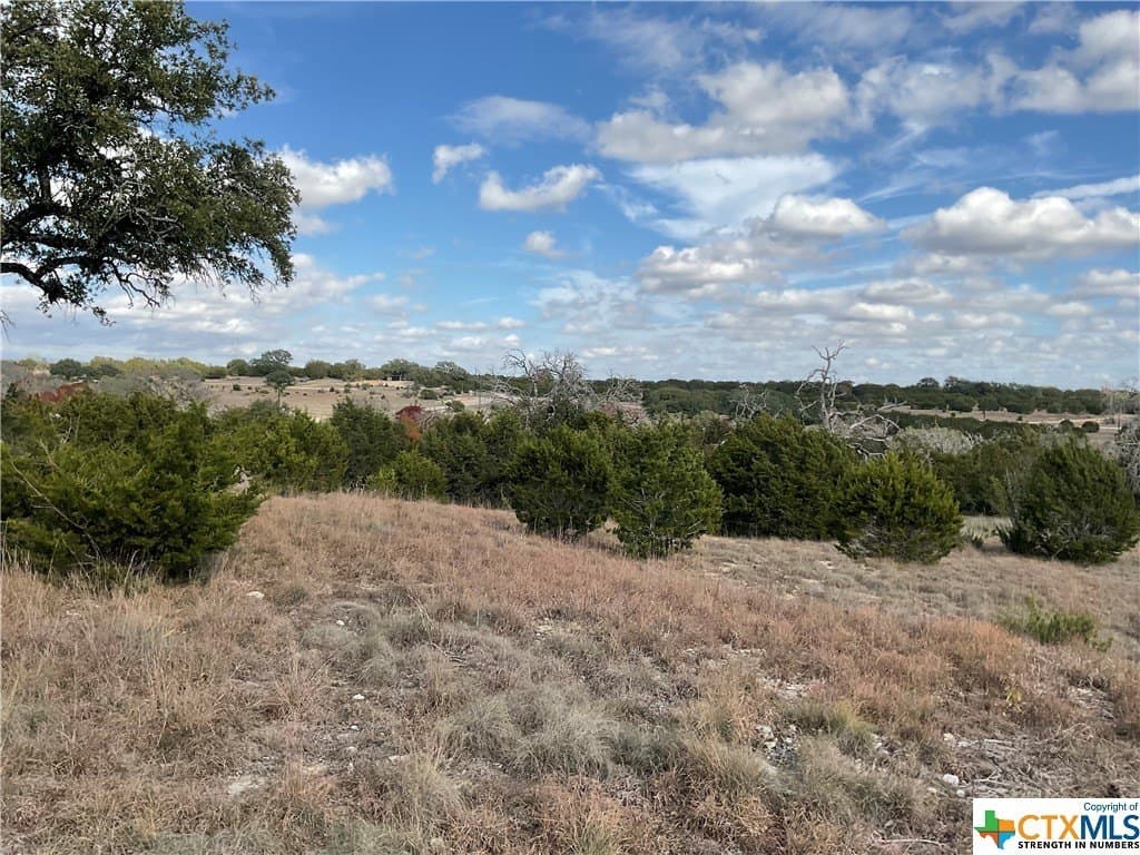 5.82 acres in Texas County - photo 5