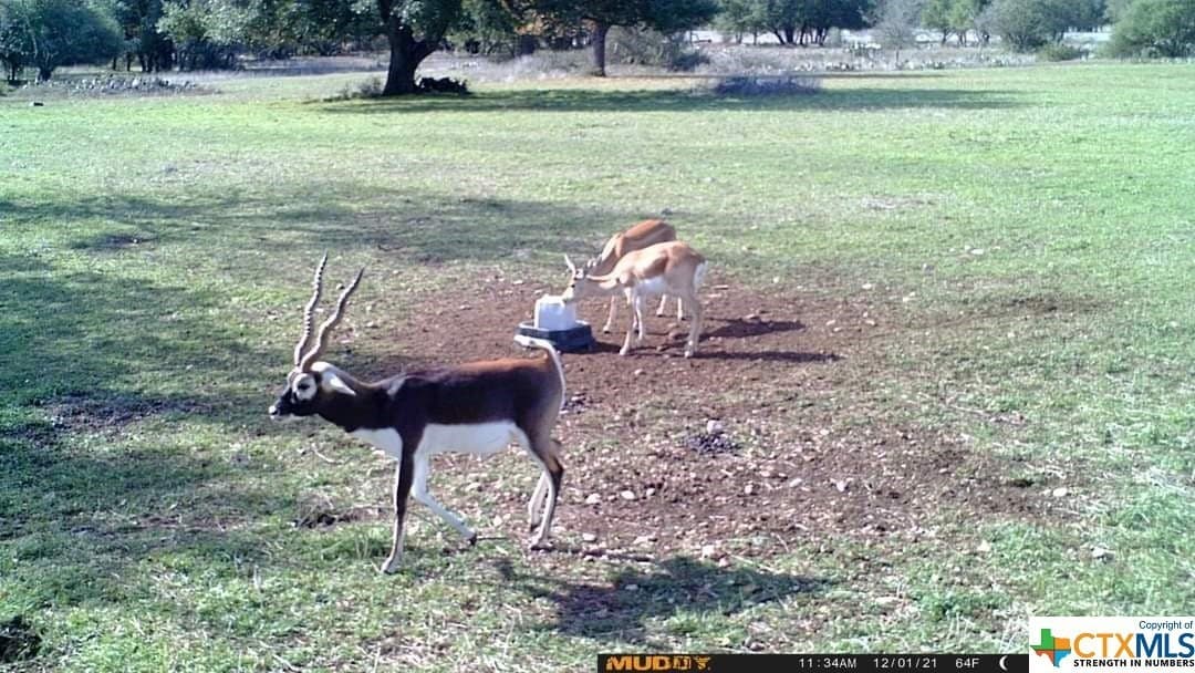 5.82 acres in Texas County - photo 17