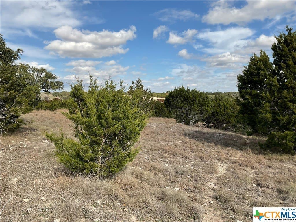 5.82 acres in Texas County - photo 11