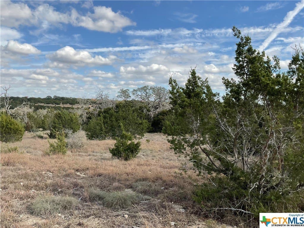 5.82 acres in Texas County - photo 4