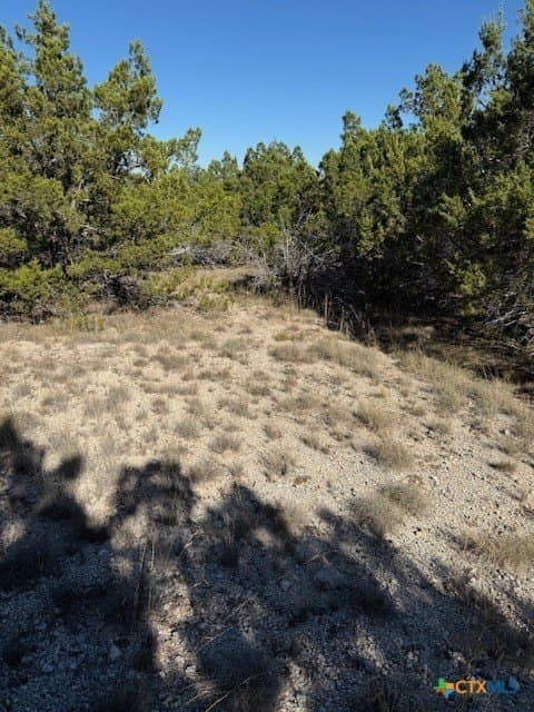 9.17 acres in Hays County - photo 8