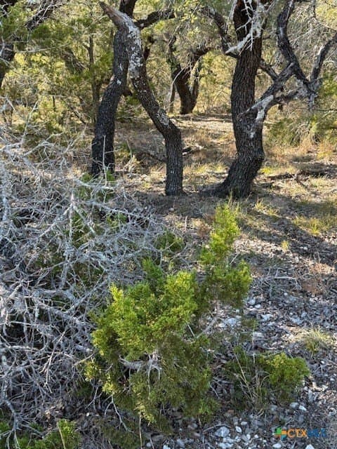 9.17 acres in Hays County - photo 10