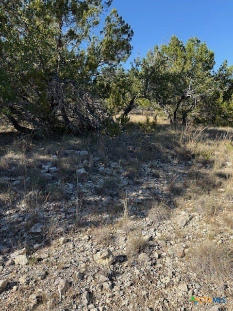 9.17 acres in Hays County - photo 12