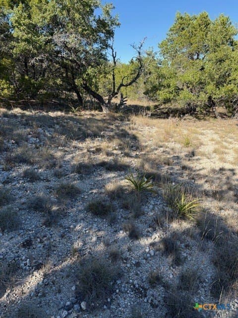 9.17 acres in Hays County - photo 9