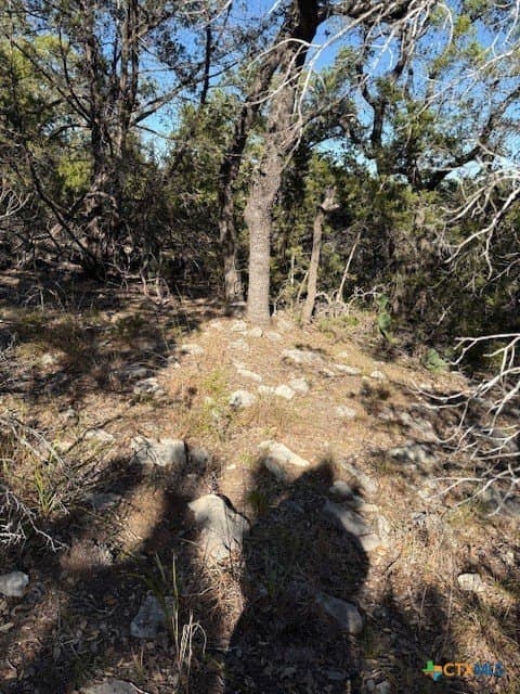 9.17 acres in Hays County - photo 11