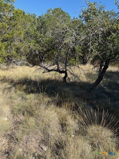9.17 acres in Hays County - photo 13