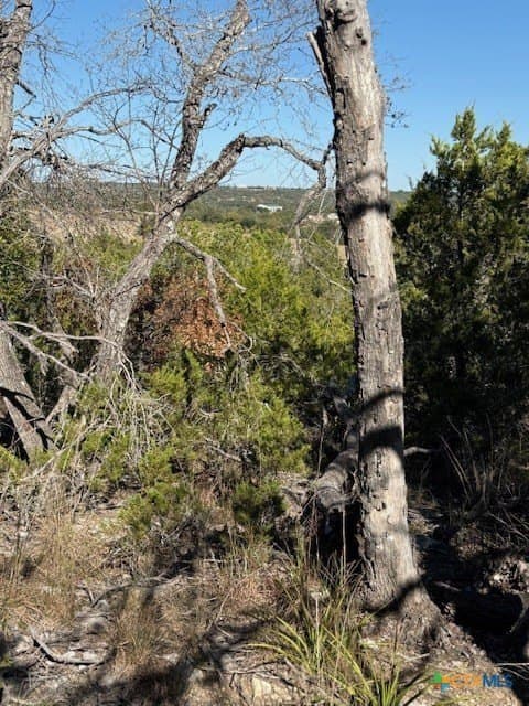9.17 acres in Hays County - photo 5