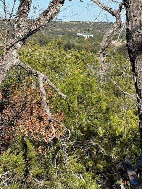 9.17 acres in Hays County - photo 6