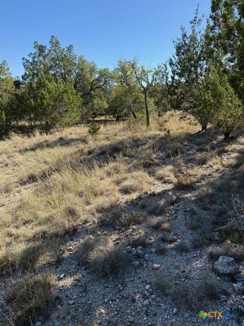 9.17 acres in Hays County - photo 7