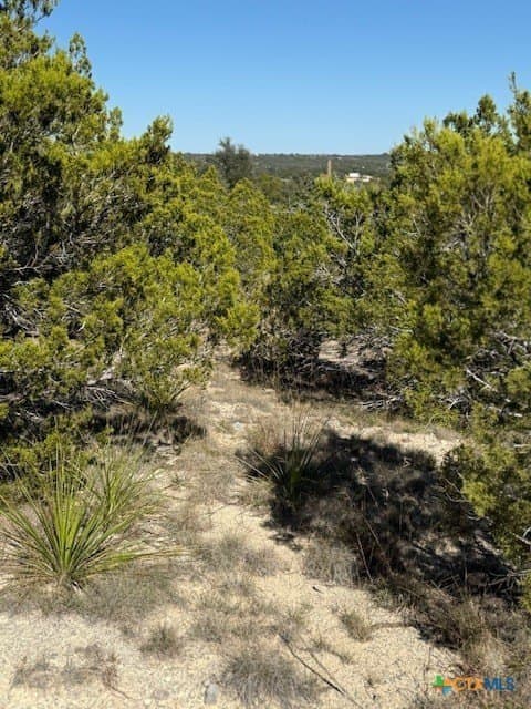 9.17 acres in Hays County - photo 3