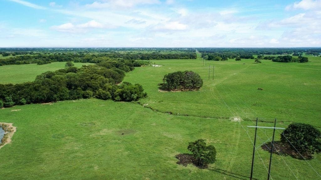 29 acres in Kaufman County - photo 4