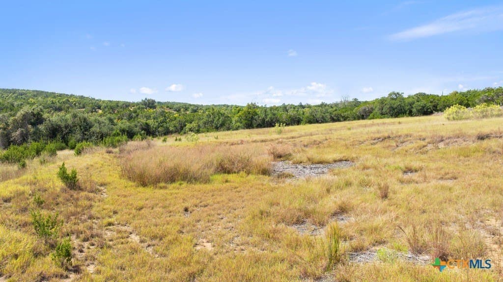 14.23 acres in Blanco County - photo 5