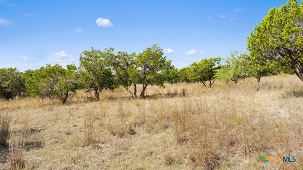 14.23 acres in Blanco County - photo 22