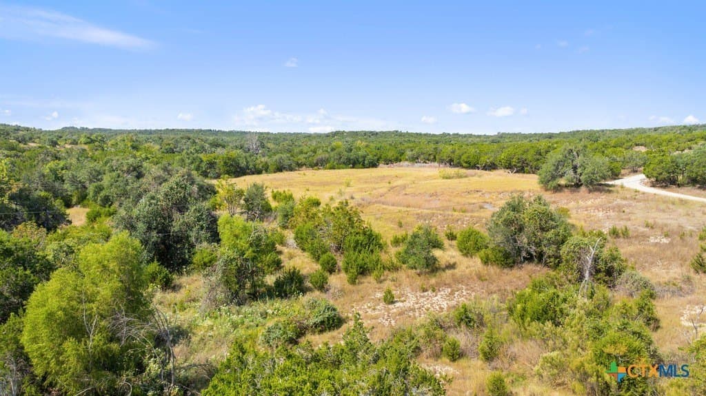 14.23 acres in Blanco County - photo 4