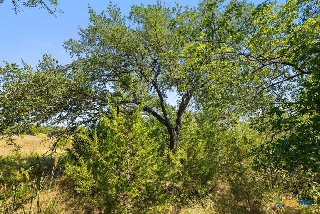 14.23 acres in Blanco County - photo 19